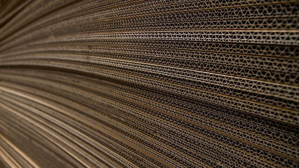 包裝行業革新在即綠色環保大勢所趨！